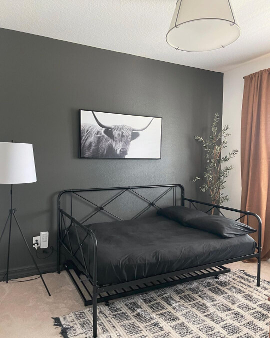Urbane bronze wall with a longhorn cow print and a black iron bed