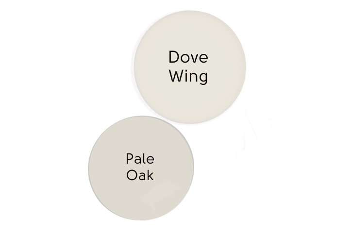 Dollop swatch of Benjamin Moore Dove Wing and Pale Oak