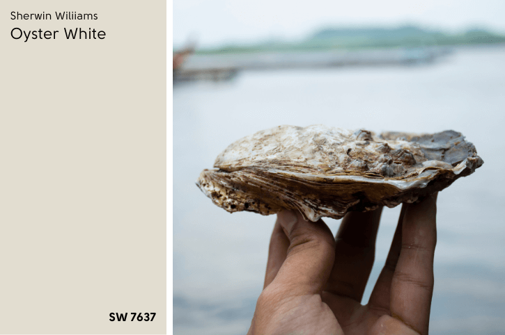 A hand holds up a closed Oyster in front of the ocean, beside a swatch of SW Oyster White