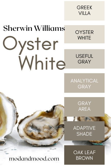 Oyster White Color Strip also Features Greek Villa (lighter) and the darker colors Useful Gray, Analytical Gray, Gray Area, Adaptive Shade, and Oak Leaf Brown. White background with three fresh Oysters