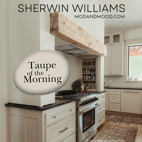 Swatch of Sherwin Williams Taupe of the morning over the color on kitchen cabinets.