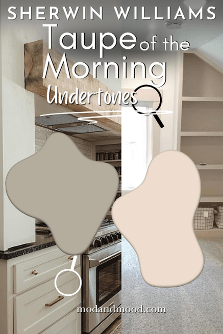 Sherwin Williams Taupe of the Morning undertones over examples in real life.