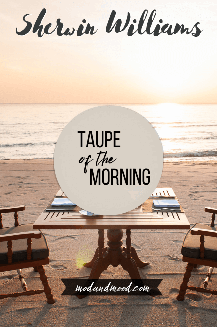 Taupe of the morning swatched over a morning breakfast setup on a beach with a taupey sunrise