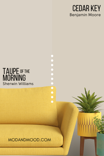 Benjamin Moore version of Taupe of the Morning Cedar Key