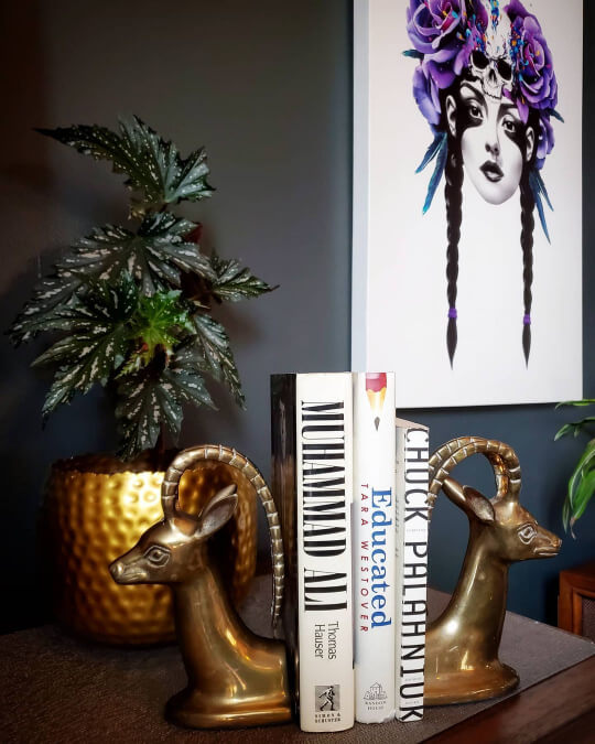 Sherwin Williams Rock Bottom close up on a living room wall with brass antelope bookends and a brass plant pot.