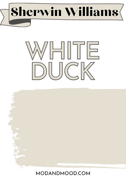 White Duck paintbrush swipe color card