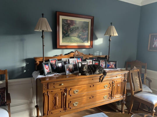 Foggy Day dining room walls with bright white wainscoting. A wooden buffet unit stands against the wall with two lamps, a host of photos, and a large gray cat