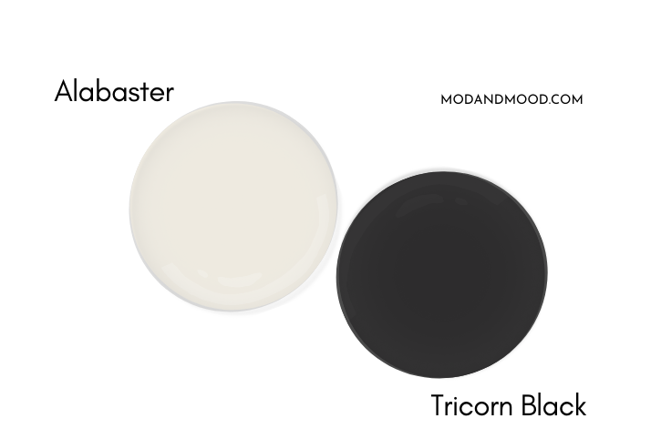 SW Alabaster paint drop beside a paint drop of Tricorn Black