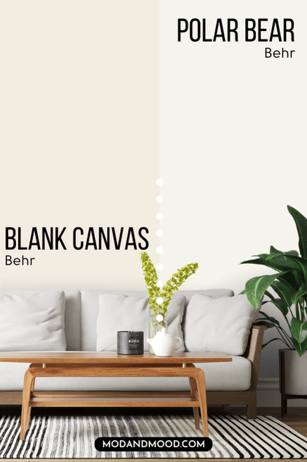 Blank canvas vs Polar Bear on a wall behind a white sofa with a wood frame.