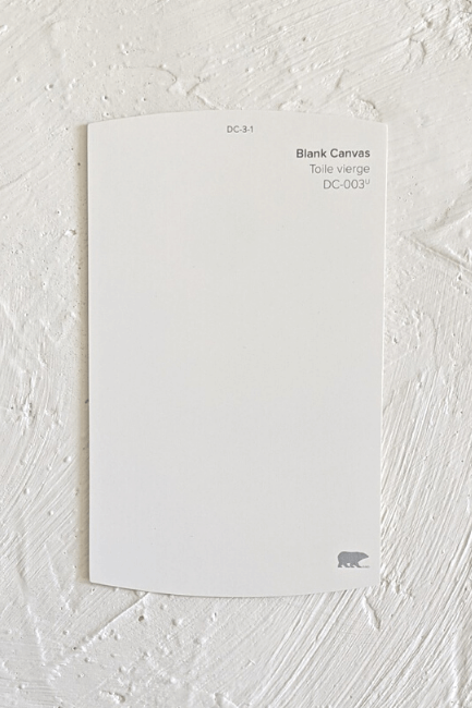 Blank Canvas color card on top of a blank Canvas
