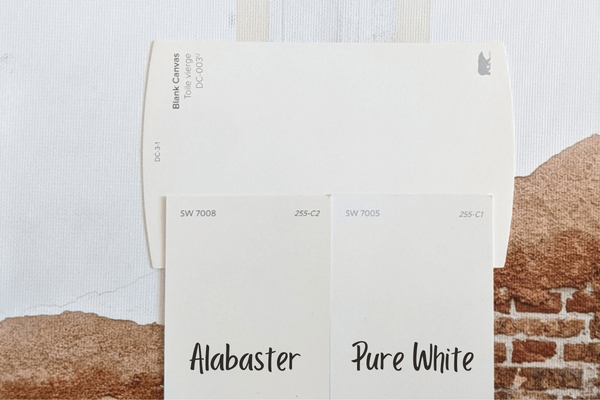 Alabaster and Pure White Swatches with Blank Canvas swatch