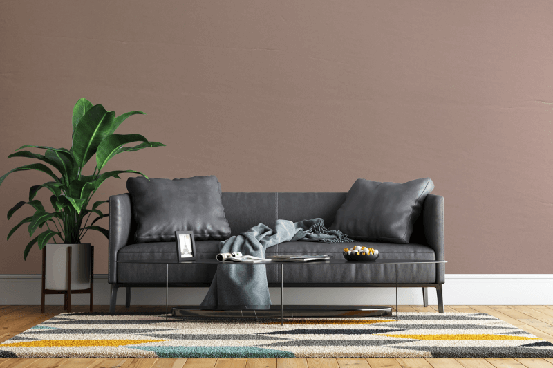 Redend point on a living room wall behind a dark gray leather sofa and plant
