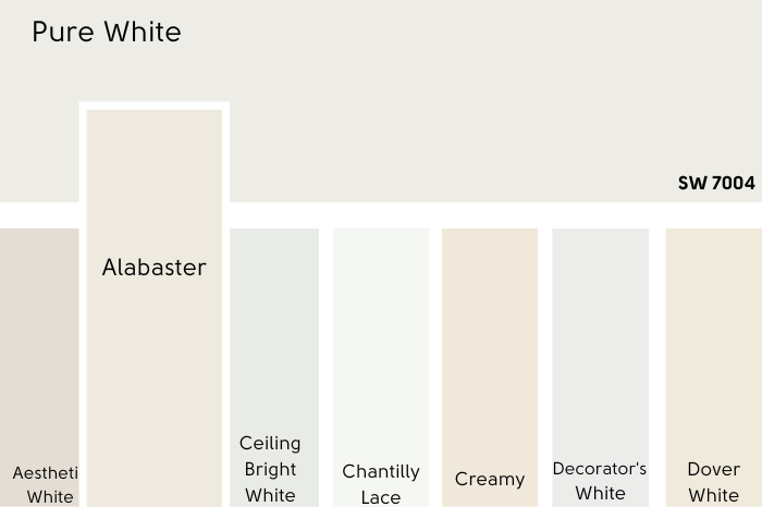 Sherwin Williams Pure White swatched above several other white paint colors. Alabaster is larger than the rest.
