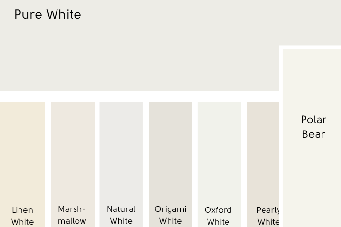 Sherwin Williams Pure White swatched above several other white paint colors. Polar Bear is larger than the rest.