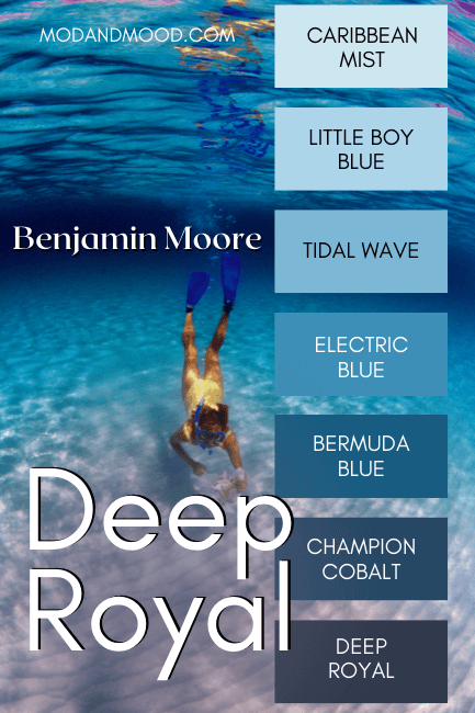 Deep Royal color strip featuring other Benjamin Moore blues including: Caribbean Mist, Little Boy Blue, Tidal Wave, Electric Blue, Bermuda Blue, Champion Cobalt, and finally Deep Royal.