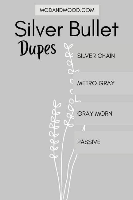 Behr Silver Bullet dupes include Benjamin Moore Silver chain, Benjamin Moore metro gray, Valspar gray morn, and Sherwin Williams passive, over a background of Silver Bullet with a white vine crawling up the middle
