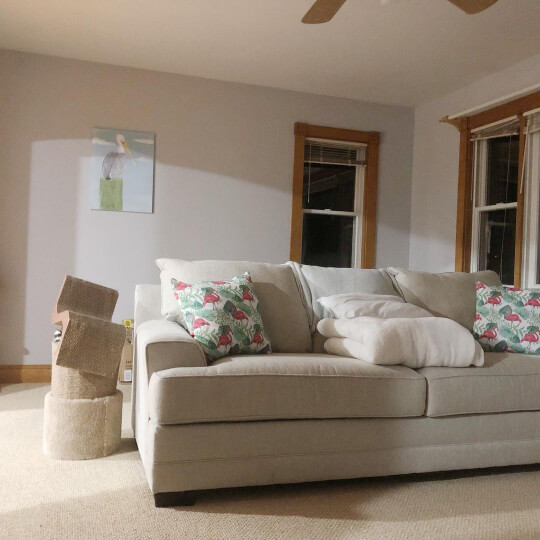 Behr Silver Bullet on living room walls with wood trim around the windows and an overstuffed beige sofa