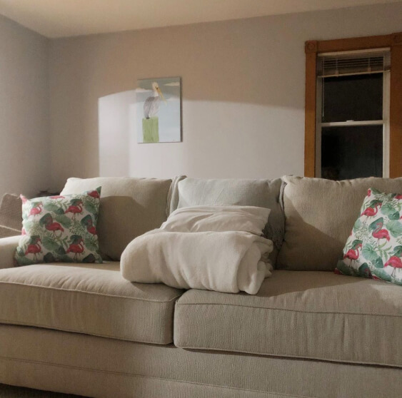 Behr Silver Bullet on a living room wall with wood trim around the windows and an overstuffed beige sofa
