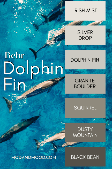 Behr Dolphin Fin color strip ranges from lighter - Irish Mist, and Silver Drop, to darker colors Granite Boulder, Squirrel, Dusty Mountain, and Black Bean