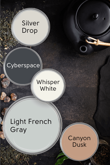 Behr Light French Gray in a color palette with Silver Drop, Whisper White, Cyberspace, and Canyon Dusk