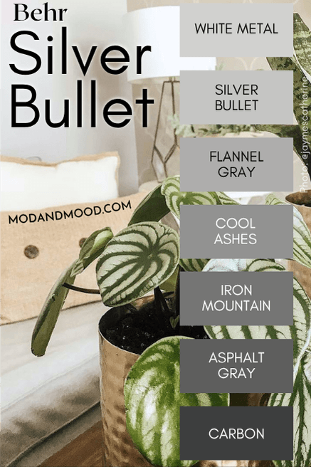 Behr Silver Bullet color strip runs from White Metal to Carbon with Silver Bullet, Flannel Gray, Cool Ashes, Iron Mountain, and Asphalt Gray in between.