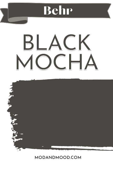 Paint swipe of Behr Black Mocha on a color card