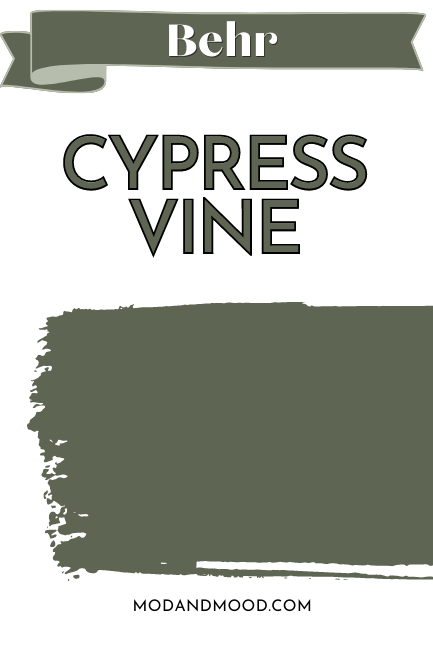 Paint swipe swatch of Behr Cypress vine