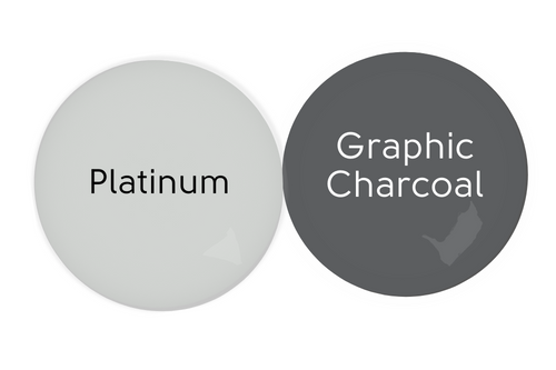 Platinum color drop sampled beside coordinating color Graphic Charcoal