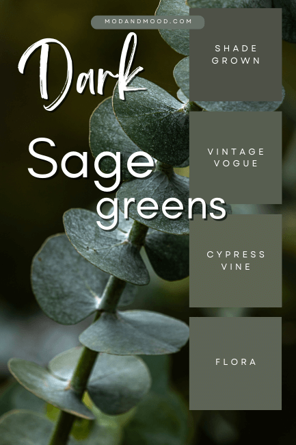 Dark Sage Green Paint Colors Shade Grown, Vintage Vogue, Cypress Vine, and Flora over a background of a dark sprig of eucalyptus.