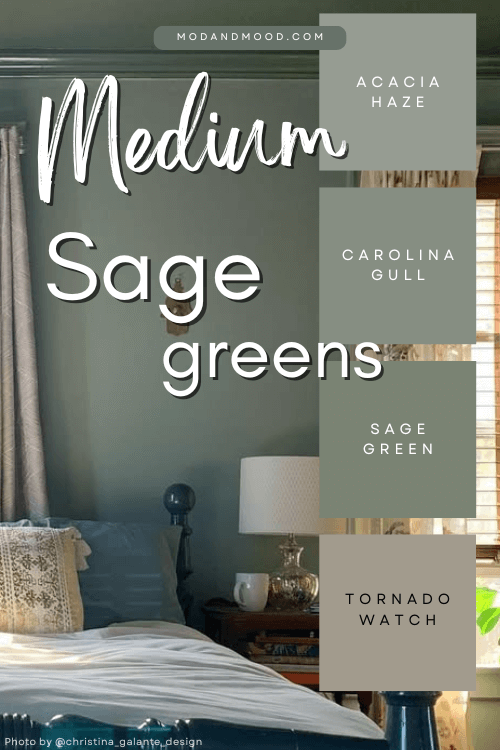 Graphic reads "medium sage greens" with swatches over top of Acacia Haze, Carolina Gull, Sage Green, and Tornado Watch over a background of Evergreen Fog in a bedroom