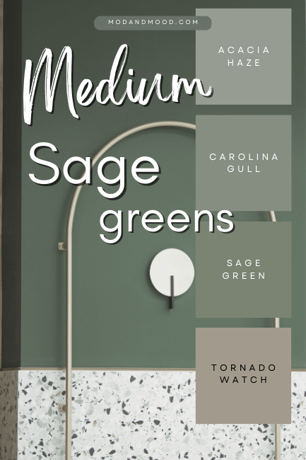 Medium Sage Green paint colors include Acacia Haze, Carolina Gull, Sage Green, and Tornado Watch.