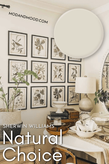 Swatch of Natural Choice over a photo of the color in a boho living room corner with botanical prints, books, and a lamp