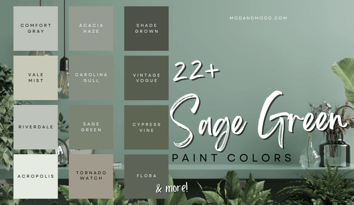 Graphic reads "22+ Sage Green Paint Colors" and lists all of the light, medium, and dark sage green paint colors from the article.