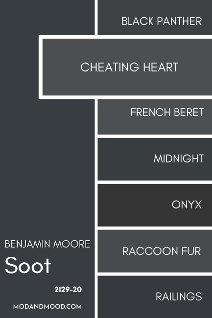 Benjamin Moore Cheating Heart vs Soot on a large swatch, with similar colors Cheating Heart, French Beret, Midnight, Onyx, Raccoon Fur, and Railings swatched smaller down the right hand side.