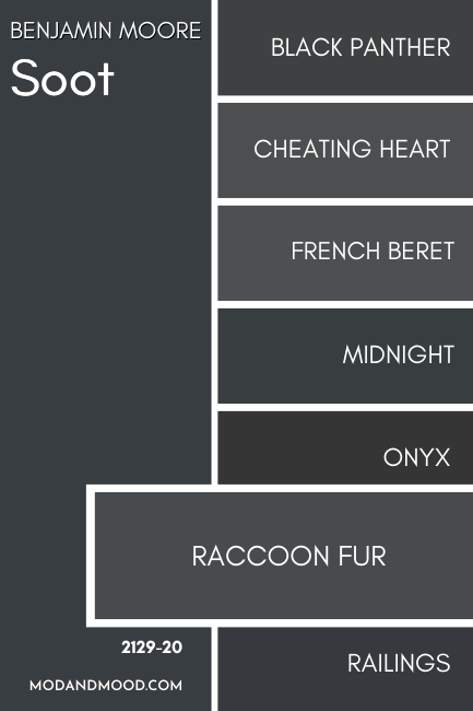 Benjamin Moore Raccoon Fur vs Soot on a large swatch, with similar colors Cheating Heart, French Beret, Midnight, Onyx, Raccoon Fur, and Railings swatched smaller down the right hand side.