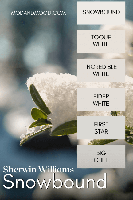 Sherwin Williams Snowbound color strip features: Snowbound, Toque white, Incredible white, eider white, first star, big chill, over a background of a snowy branch.