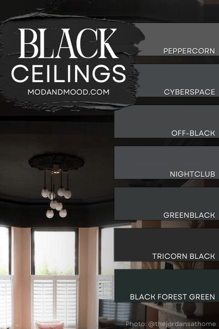 ll the black ceiling colors from the article swatched over a pink living room with a black ceiling and hanging ball light fixture. Colors are: Greenblack, Tricorn Black, Cyberspace, Peppercorn, Night Club, Off-black, and Black Forest Green.