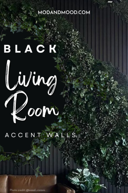 Black Living Room Accent walls, over a black wood slat wall with vines growing over it.