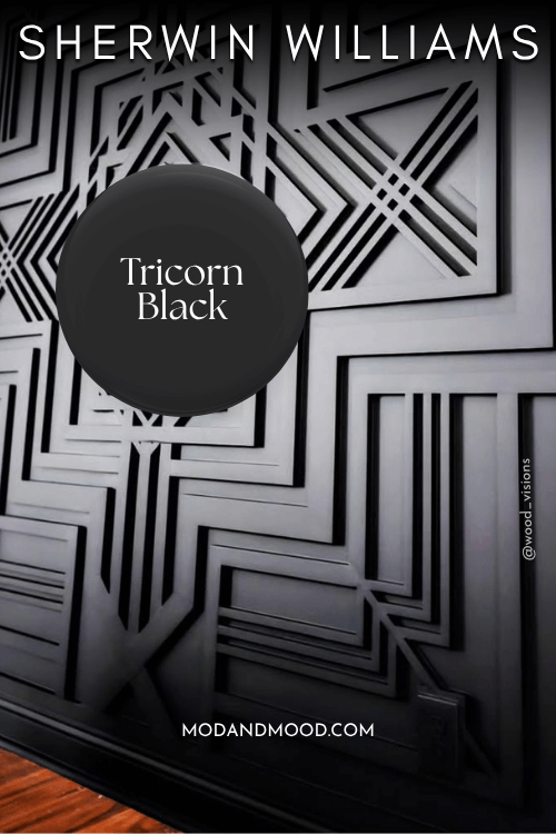 Swatch of Sherwin Williams Tricorn black over a wood feature wall with an elaborate geometric pattern.