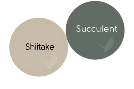 Paint dot of Sherwin WIlliams Shiitake beside the same of Sherwin Williams Succulent