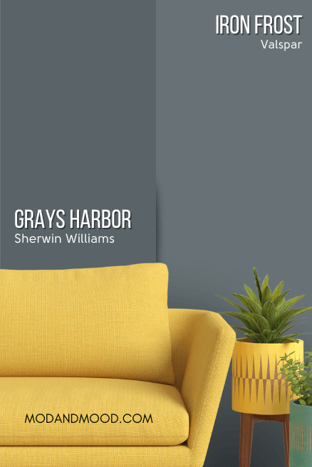 Sherwin Williams Grays Harbor on half of a wall and Valspar version Iron Frost on the other half behind a mustard sofa and potted plants.