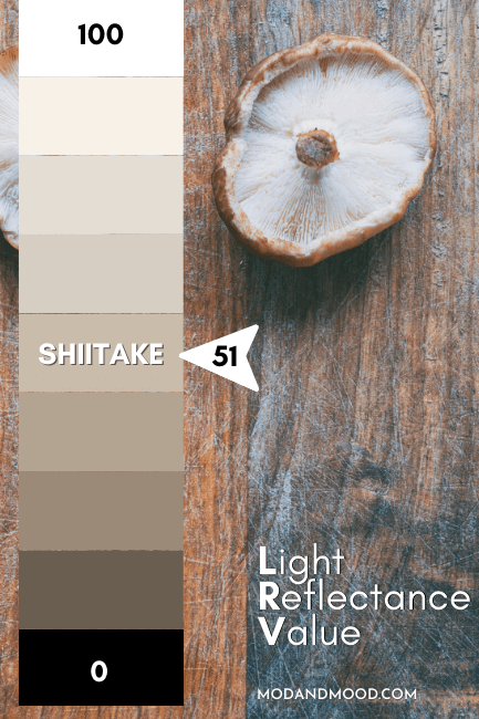 Sherwin Williams Shiitake marked at 51 on an LRV chart from 100 (pure white) to 0 (true black) over a background of a wood countertop with a shiitake mushroom on it.
