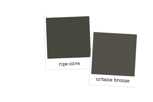 Polaroid style swatches of Sherwin Williams Ripe Olive and coordinating color urbane bronze, side by side.