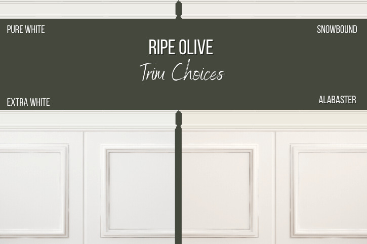 Ripe Olive with a variety of white trim colors including Alabaster, Extra White, Pure White, and Snowbound