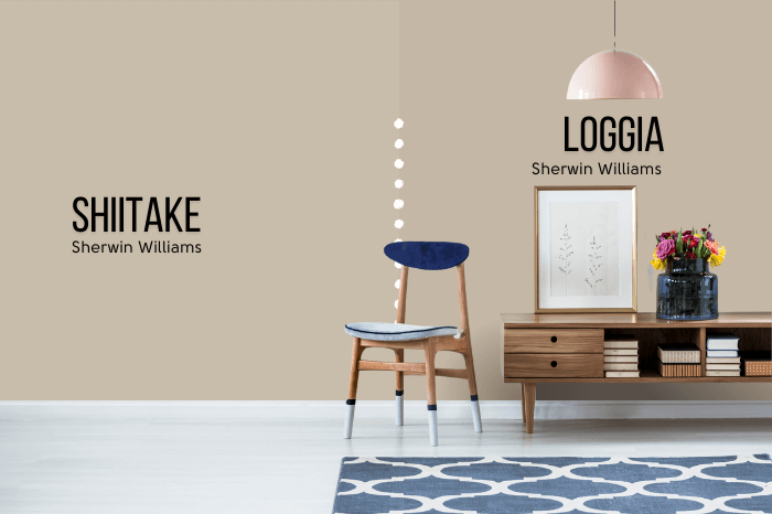 Sherwin Williams Shiitake on one half of a wall with Loggia on the other half behind a low coffee table and a blue chair.