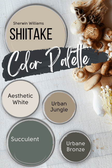 Sherwin Williams Shiitake color palette features Shiitake, Succulent, Aesthetic White, Urban Jungle, and Urbane Bronze, all on paint lids over a white wood background with a row of mushrooms down the right hand side of the frame.
