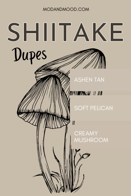 Sherwin Williams Shiitake background with swatches of dupes Ashen Tan, Soft Pelican, and Creamy Mushroom over a background of a sketch of mushrooms.