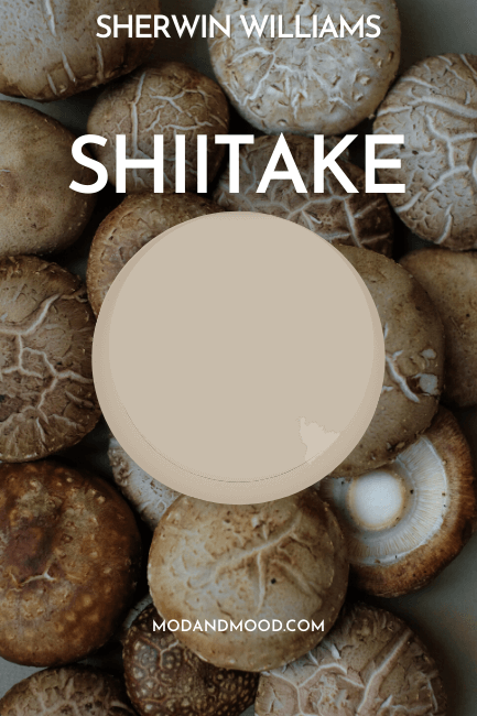Swatch of Sherwin Williams Shiitake over a background of many mushrooms