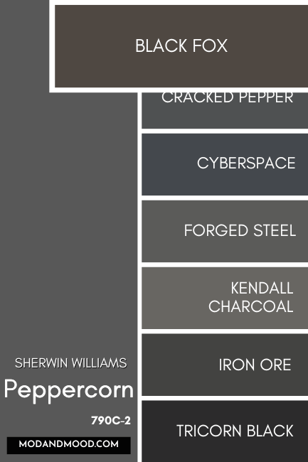 Sherwin Williams Peppercorn color card with swatches of other dark paint colors down the right hand side. Black Fox stands out swatched bigger than the rest of the colors.