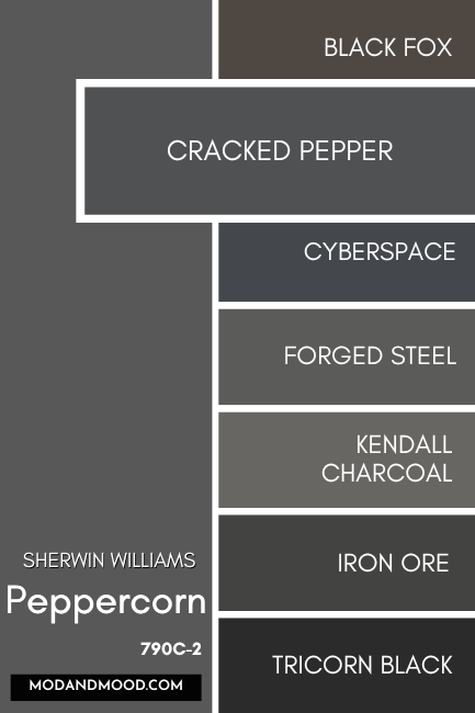 Sherwin Williams Peppercorn color card with swatches of other dark paint colors down the right hand side. Cracked Pepper stands out swatched bigger than the rest of the colors.